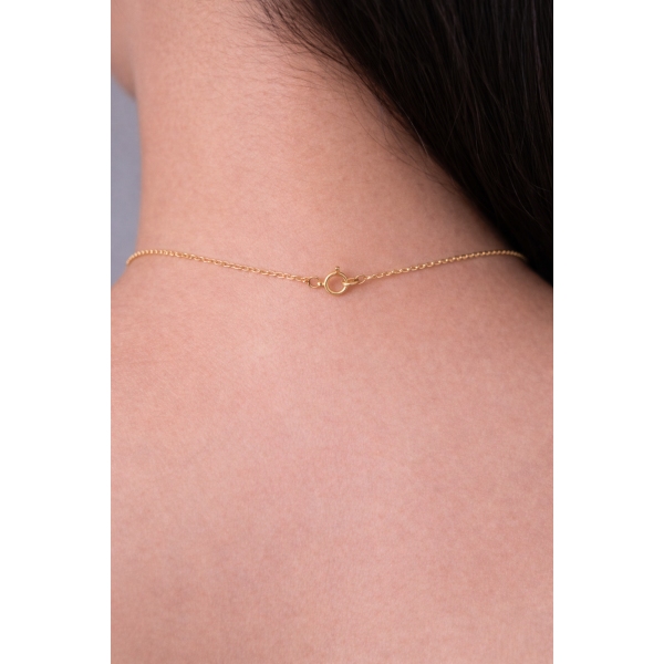 Star Charm Necklace – 14K Gold Finish