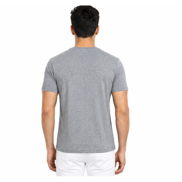 Biowash Premium Ultra Fine Cotton Crewneck Tees - greay t shirt