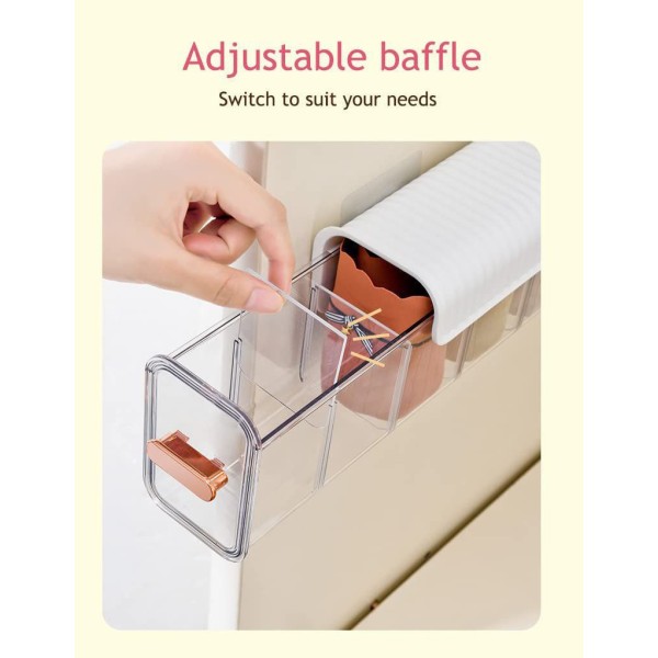 Wall Mount 6 Cell Transparent Storage Box