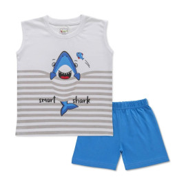 Cotton Printed Boys Tshirt And Shorts, Size: 1-2Y to 5-6Y,