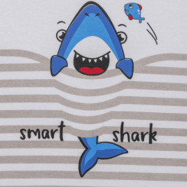 Cotton Printed Boys Tshirt And Shorts, Size: 1-2Y to 5-6Y,