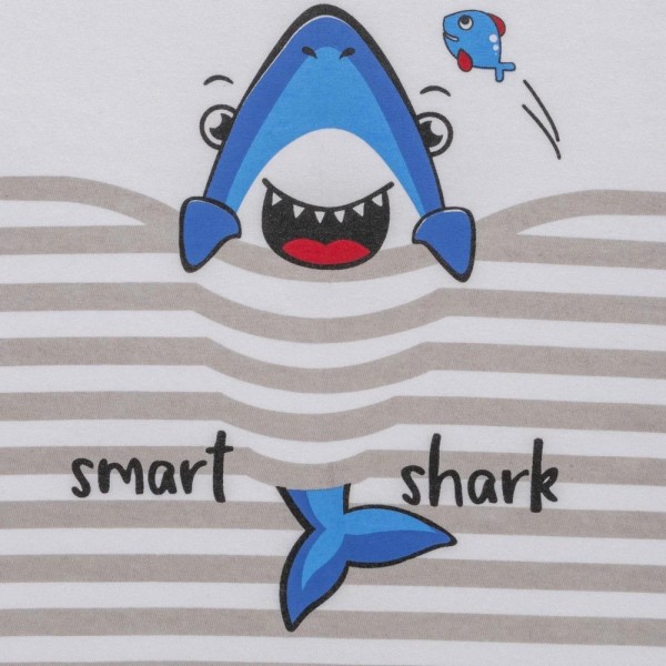 Cotton Printed Boys Tshirt And Shorts, Size: 1-2Y to 5-6Y,