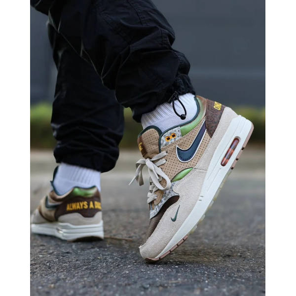 Nike Air Max Shoe