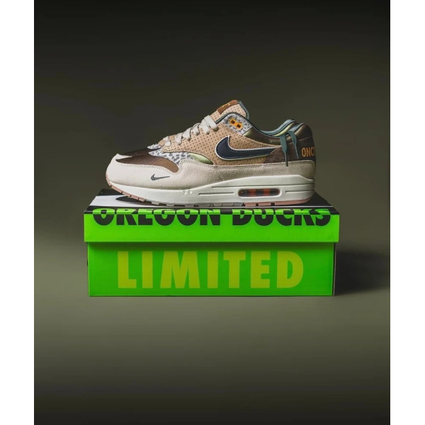 Nike Air Max Shoe