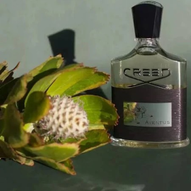 CREED AVENTUS 100 ml