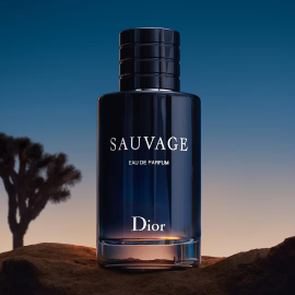 Dior Christian Sauvage EDT SP Perfume, Packaging Size: 100 ml