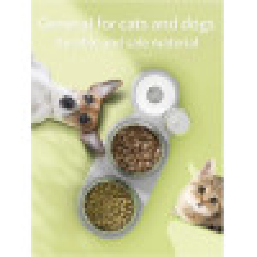  2 In1 Pet Feeder Food and Water Dispenser|Stainless Steel Bowl|Automatic Water Dispensing Mechanism|Suitable for Cats and Dogs